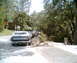 Ranchero Row  back view002.jpg